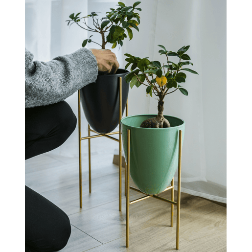 Beliani Vaso alto para plantas LEFKI