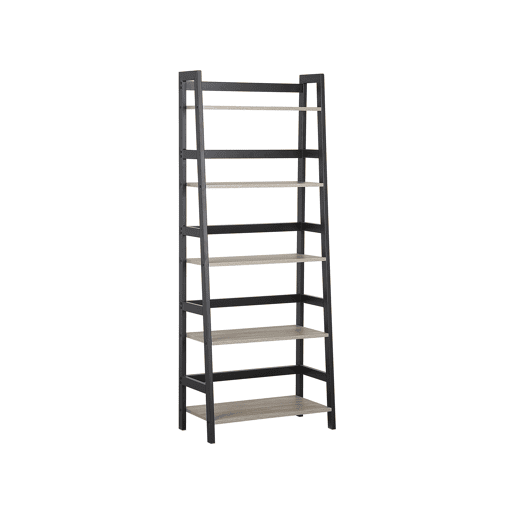 Estante com 5 prateleiras CROYDON 163 cm Preto
