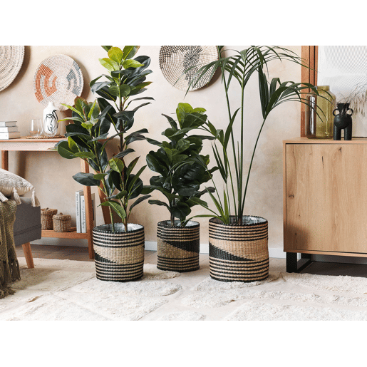 Conjunto de 3 vasos para plantas RATTAIL Alga 322927 cm Preto