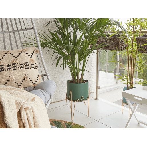 Beliani Vaso alto para plantas KALANDRA