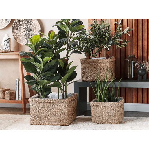 Conjunto de 3 vasos para plantas RIVULINE Alga 232730 cm Natural
