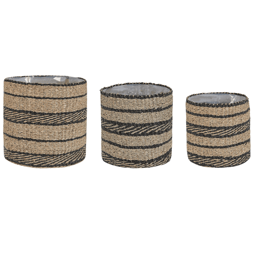 Conjunto de 3 vasos para plantas RASBORA Alga 353127 cm Preto