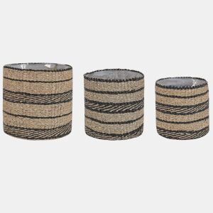 Conjunto de 3 vasos para plantas RASBORA Alga 353127 cm Preto