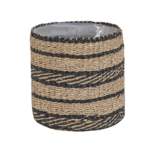 Conjunto de 3 vasos para plantas RASBORA Alga 353127 cm Preto