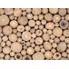 Beliani Decoración de pared TWIG Beliani Decoración de pared TWIG Marrón