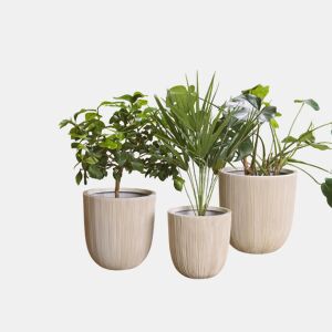 Vaso CHIOS 37 cm Creme