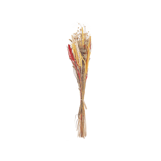 Ramo de flores secas PAMPELUNA 65 cm Natural