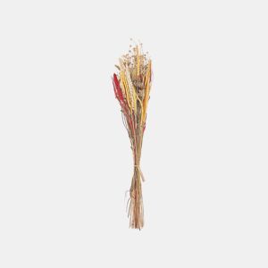 Ramo de flores secas PAMPELUNA 65 cm Natural