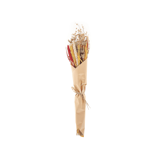 Ramo de flores secas PAMPELUNA 65 cm Natural