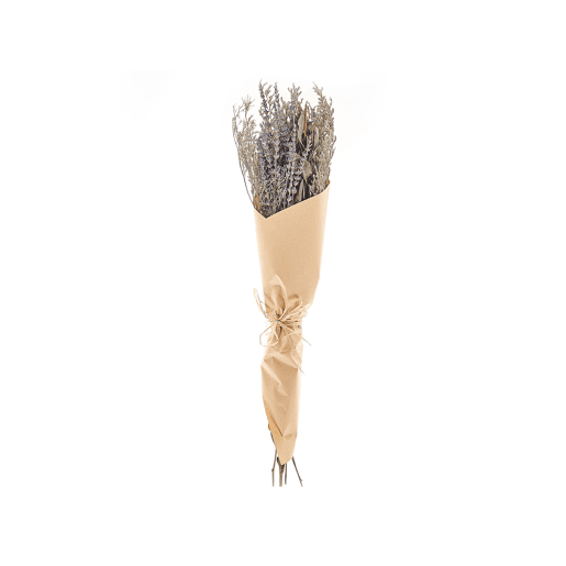 Ramo de flores secas NAWARRA 70 cm Natural