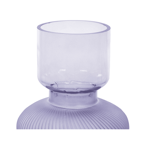 Jarro de flores RODIA Vidro 24 cm Violeta