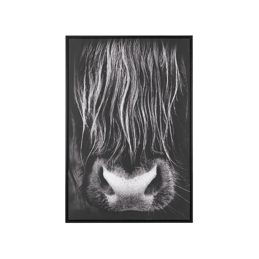 Tela GALEATA Motivo animal 63 x 99 cm Preto