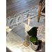 Beliani De pelo corto DIDIM 160x230 Beliani De pelo corto DIDIM 160x230 Beige