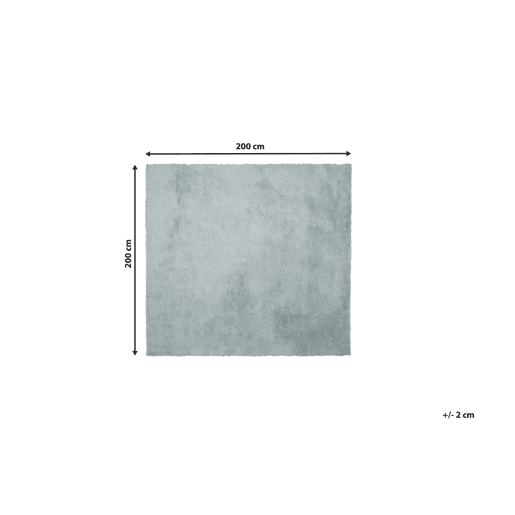 Tapete felpudo EVREN Verde menta 200 x 200 cm