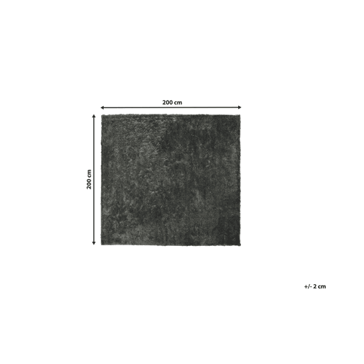 Tapete felpudo EVREN Cinzento escuro 200 x 200 cm