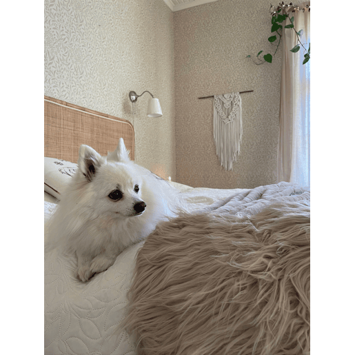Beliani Decoração em pele de ovelha MUNGO