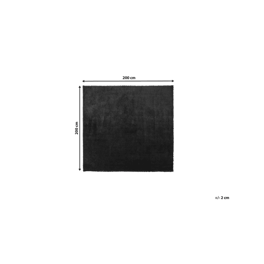 Tapete felpudo EVREN Preto 200 x 200 cm