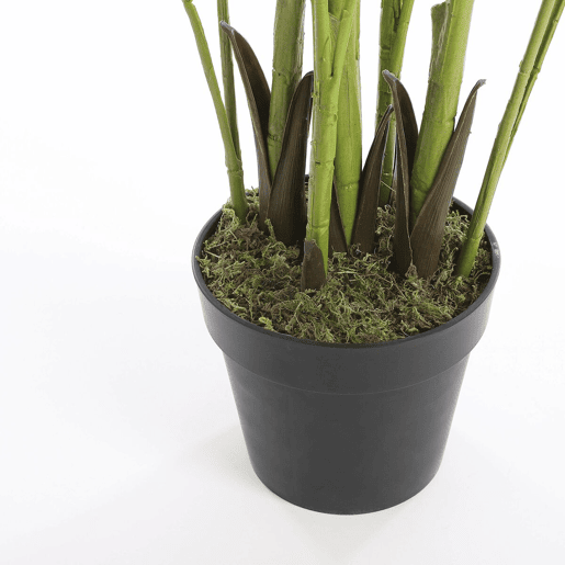 Planta Decorativa Mica Decorations Verde Palmeira (80 x 160 cm)