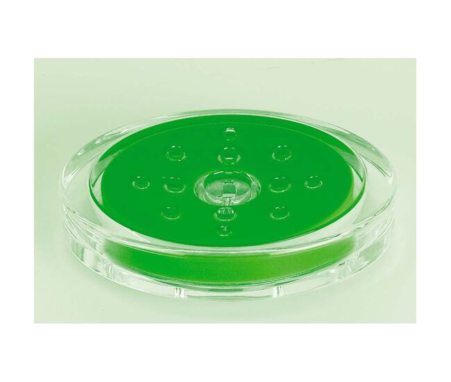 Spirella colección sydney, bandeja para pastilla de jabón 3,0 x 10,0 x 13,0 cm, acrílico, verde