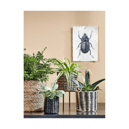 Conjunto de Cestos Mica Decorations 3 Peças Castanho vime