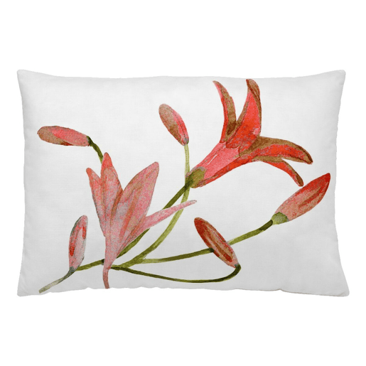 Capa de travesseiro Naturals Denia (30 x 50 cm)