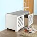 Banco de Almacenamiento con cojines y 2 Cubos FSR23-K-W SoBuy Banco de Almacenamiento con cojines y 2 Cubos FSR23-K-W SoBuy Blanco