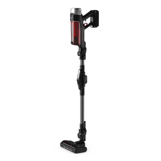 Aspirador Rowenta RH2078WO 100 W