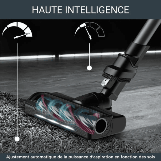 Aspirador Rowenta RH2078WO 100 W
