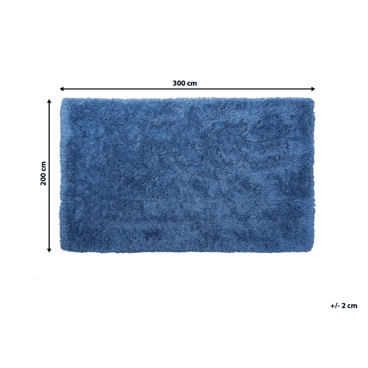 Tapete felpudo CIDE Azul 200 x 300 cm