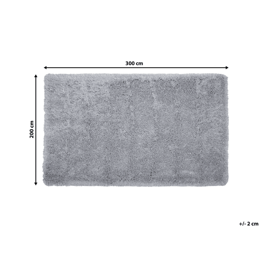 Tapete felpudo CIDE Cinzento claro 200 x 300 cm