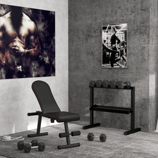 SPORTNOW Suporte para Halteres de 2 Níveis Suporte de Armazenamento para Halteres de Aço para Ginásio em Casa Carga Máxima 270 kg 92,5x50,5x80,5 cm Preto