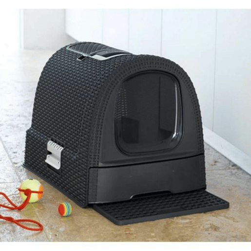 Caixa de Areia para Gatos Curver 51 x 38,5 x 39,5 cm Antracite