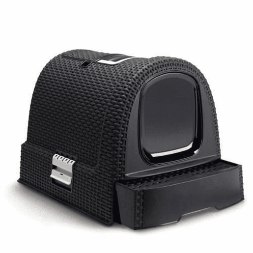 Caixa de Areia para Gatos Curver 51 x 38,5 x 39,5 cm Antracite