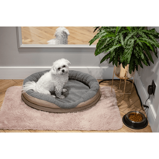 Camry CR7431 Cama Eléctrica Aquecida de Cão e Gato 76 x 58cm, Aquecimento para Animais de Estimação, 18 , MarroM