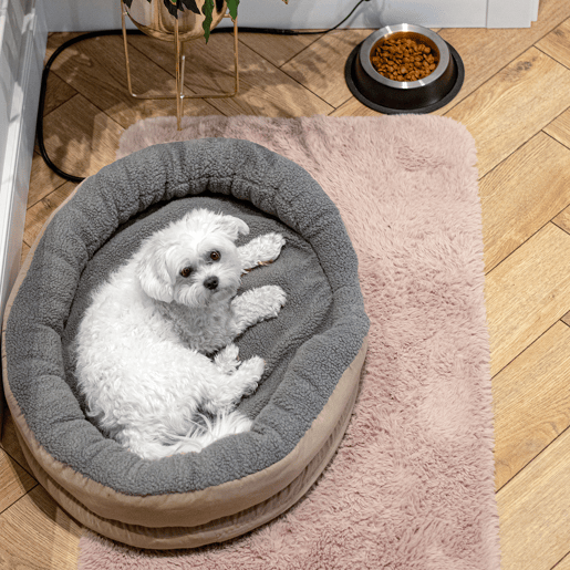Camry CR7431 Cama Eléctrica Aquecida de Cão e Gato 76 x 58cm, Aquecimento para Animais de Estimação, 18 , MarroM