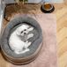 Cama para Perros y Gatos Eléctrica Camry CR7431 Cama para Perros y Gatos Eléctrica Camry CR7431 Gris