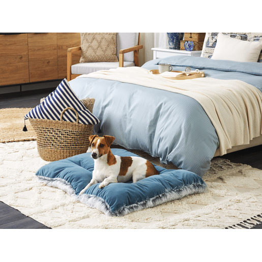 Cama para animais de estimação ERGANI Veludo Azul