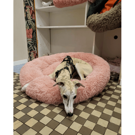 Cama para animais de estimação KULU Imitação de pele Rosa