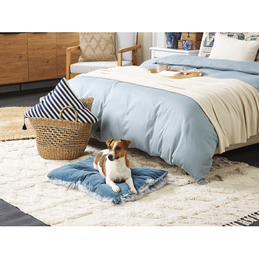 Cama para animais de estimação ERGANI Veludo Azul