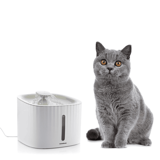 Fonte para Animais de Estimação Drinkatt InnovaGoods Fonte para Animais de Estimação Drinkatt InnovaGoods