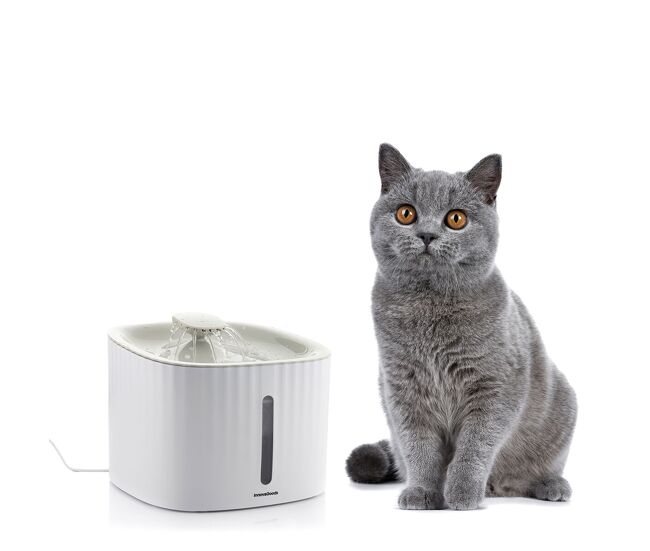 Fuente para mascotas drinkatt innovagoods