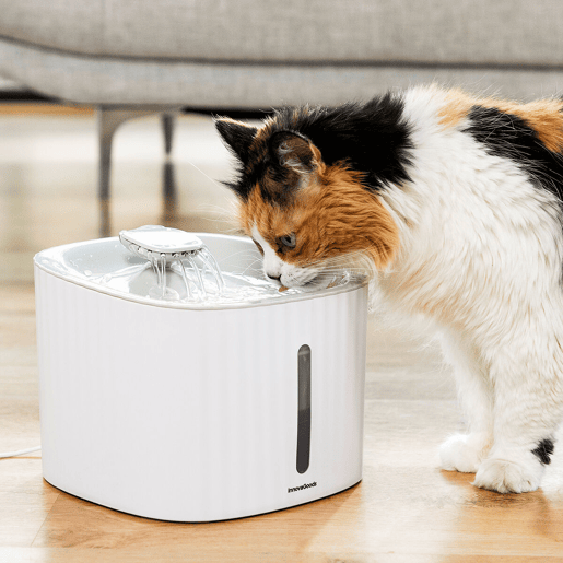 Fonte para Animais de Estimação Drinkatt InnovaGoods Fonte para Animais de Estimação Drinkatt InnovaGoods