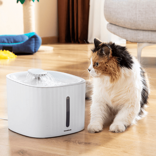 Fonte para Animais de Estimação Drinkatt InnovaGoods Fonte para Animais de Estimação Drinkatt InnovaGoods