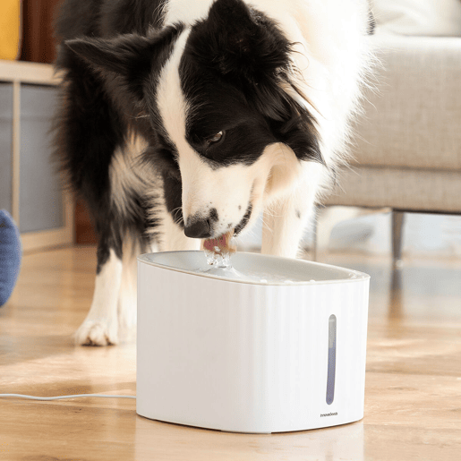 Fonte para Animais de Estimação Drinkatt InnovaGoods Fonte para Animais de Estimação Drinkatt InnovaGoods