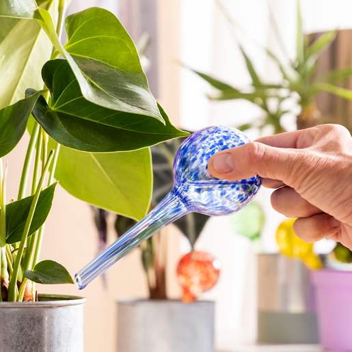Globos de Rega Automática Ballwooters InnovaGoods 4 Unidades