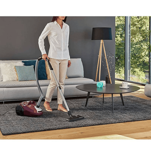 Aspirador com Saco Rowenta 3L 750 W Easy Brush