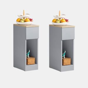 Conjunto de 2 mesas de apoio 20 x 35 x 60 cm Cinzento SoBuy FBT111-HGx2
