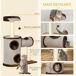 Árbol Rascador para Gatos Árbol Rascador para Gatos Marron
