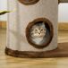 Árbol Rascador para Gatos Árbol Rascador para Gatos Marron