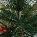Árbol de Navidad Acero, Plástico HOMCOM, hogar - decoración Árbol de Navidad Acero, Plástico HOMCOM, hogar - decoración Verde Oscuro